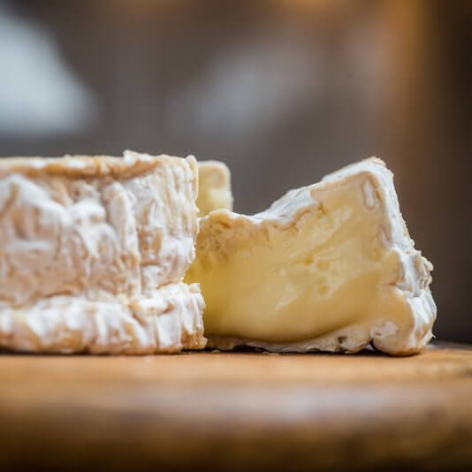 Cheese
