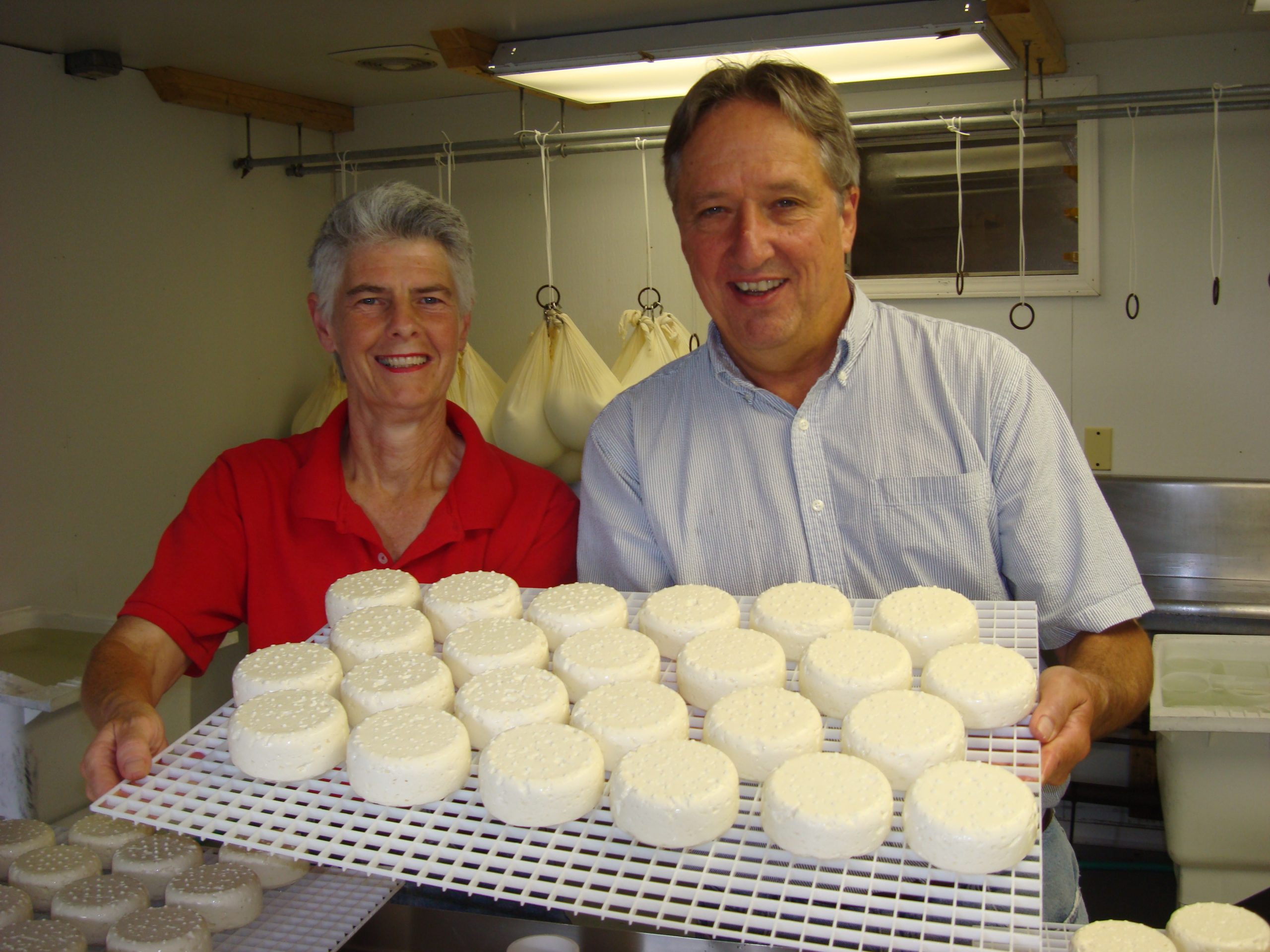 Example Cheeseborough Finding a New Career - Cheese Connoisseur