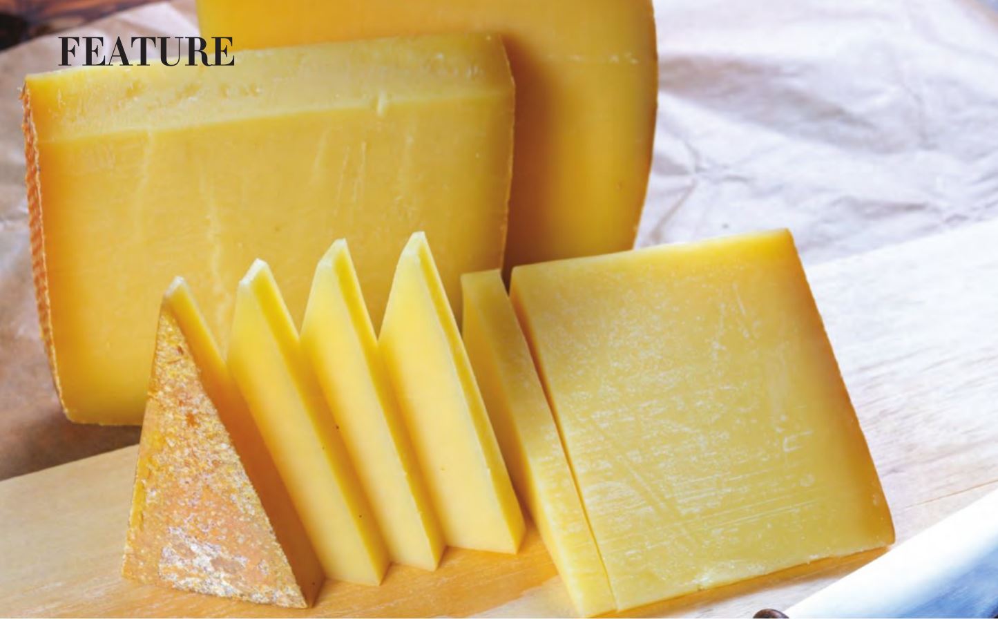 What Distinguishes French AOC Cheese - Cheese Connoisseur